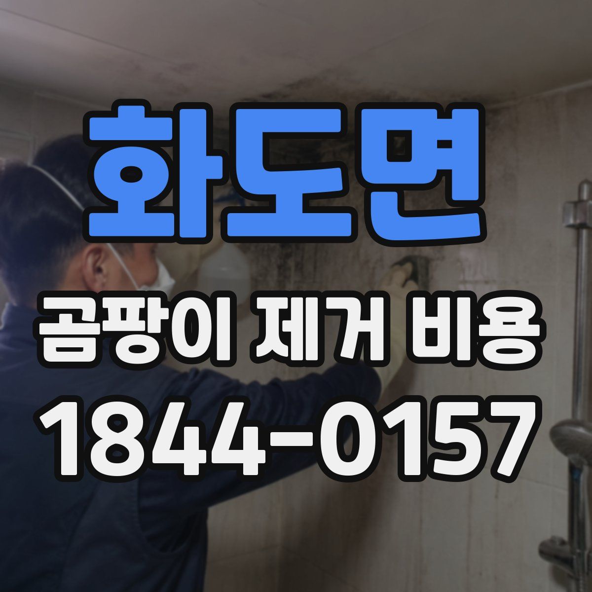 화도면 곰팡이 제거 비용
