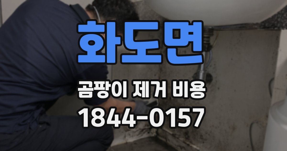 화도면 곰팡이 제거 비용