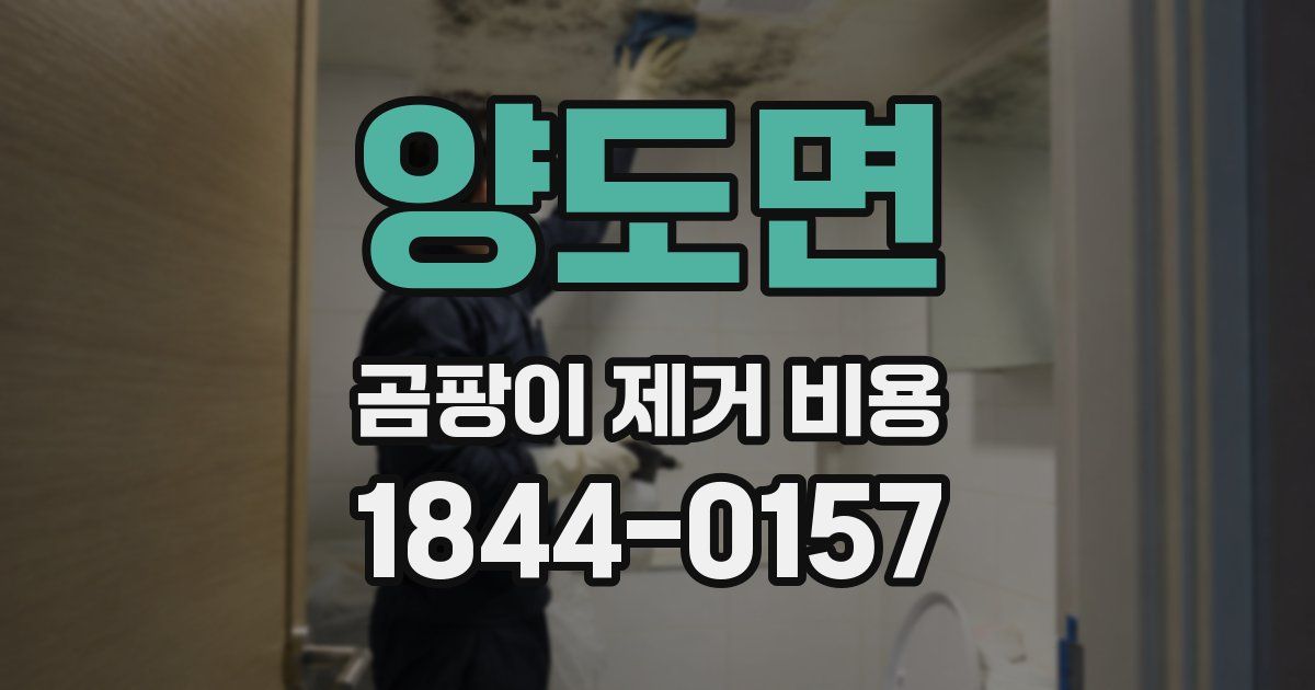 양도면 곰팡이 제거 비용