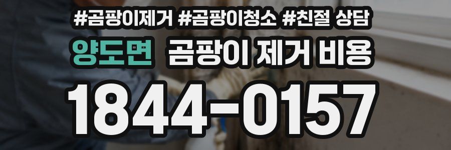 양도면 곰팡이 제거 비용