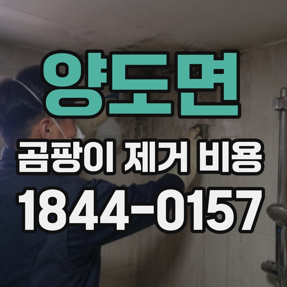 양도면 곰팡이 제거 비용