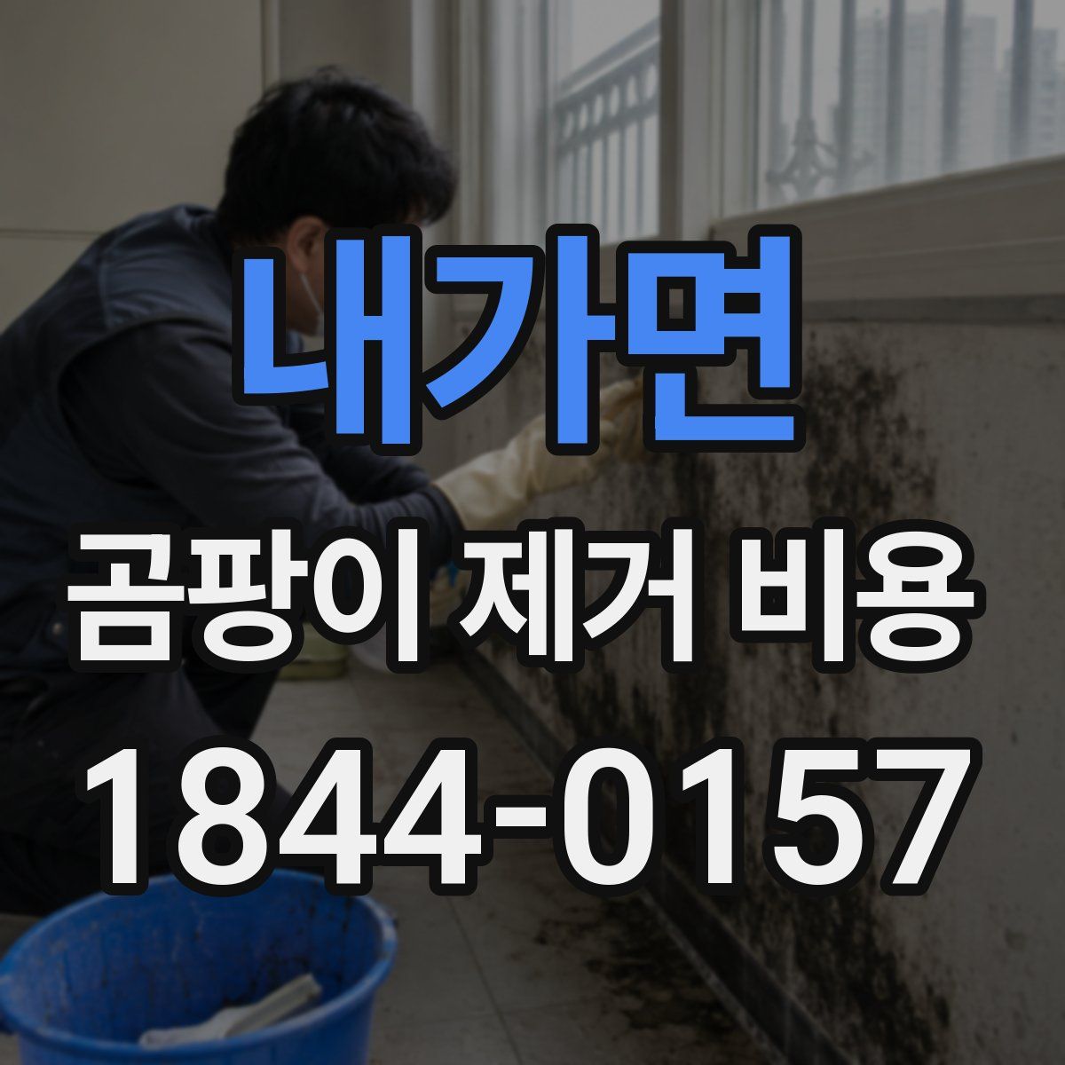 내가면 곰팡이 제거 비용