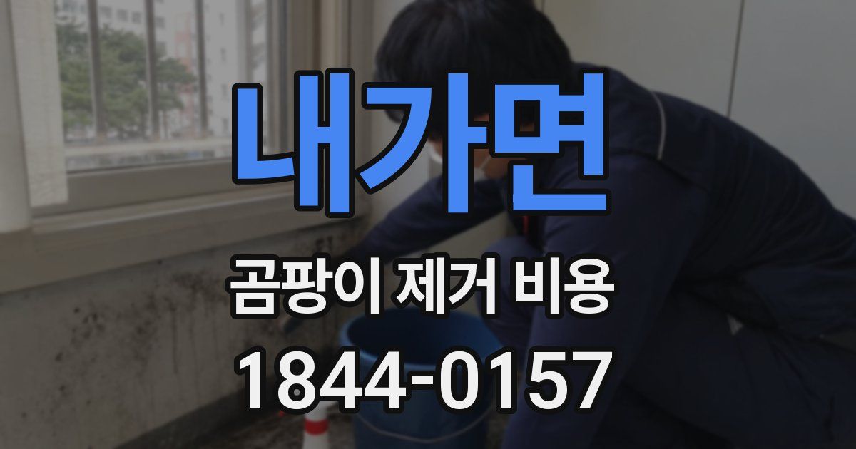 내가면 곰팡이 제거 비용