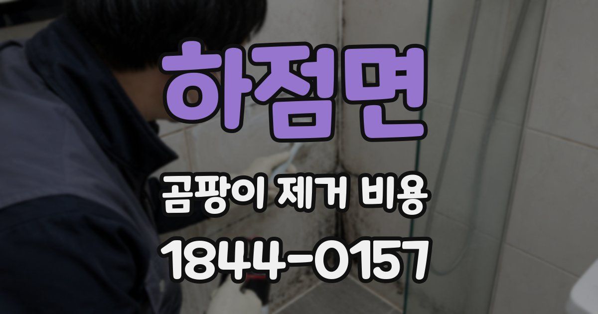 하점면 곰팡이 제거 비용