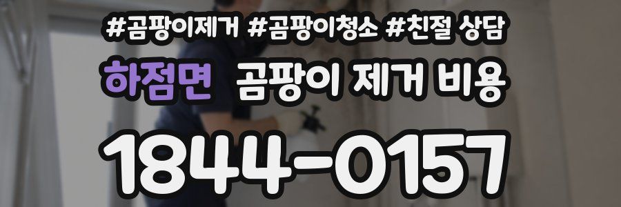 하점면 곰팡이 제거 비용