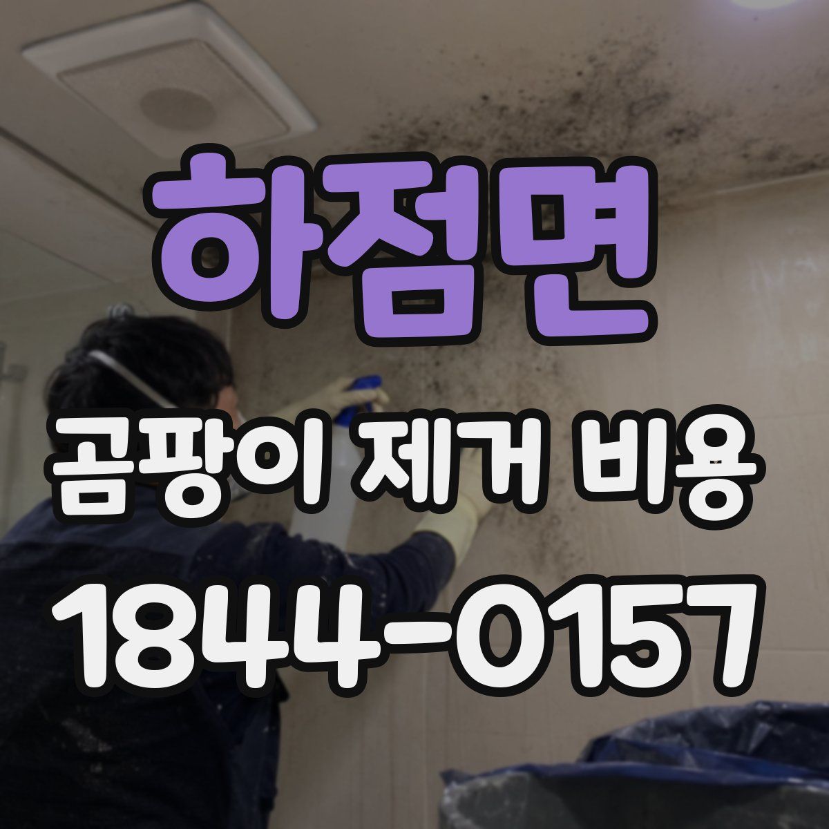 하점면 곰팡이 제거 비용