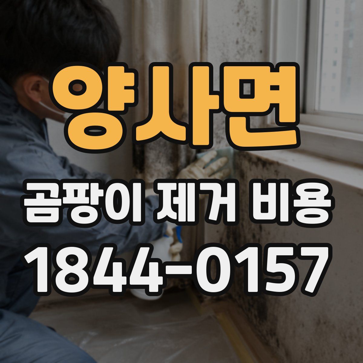 양사면 곰팡이 제거 비용