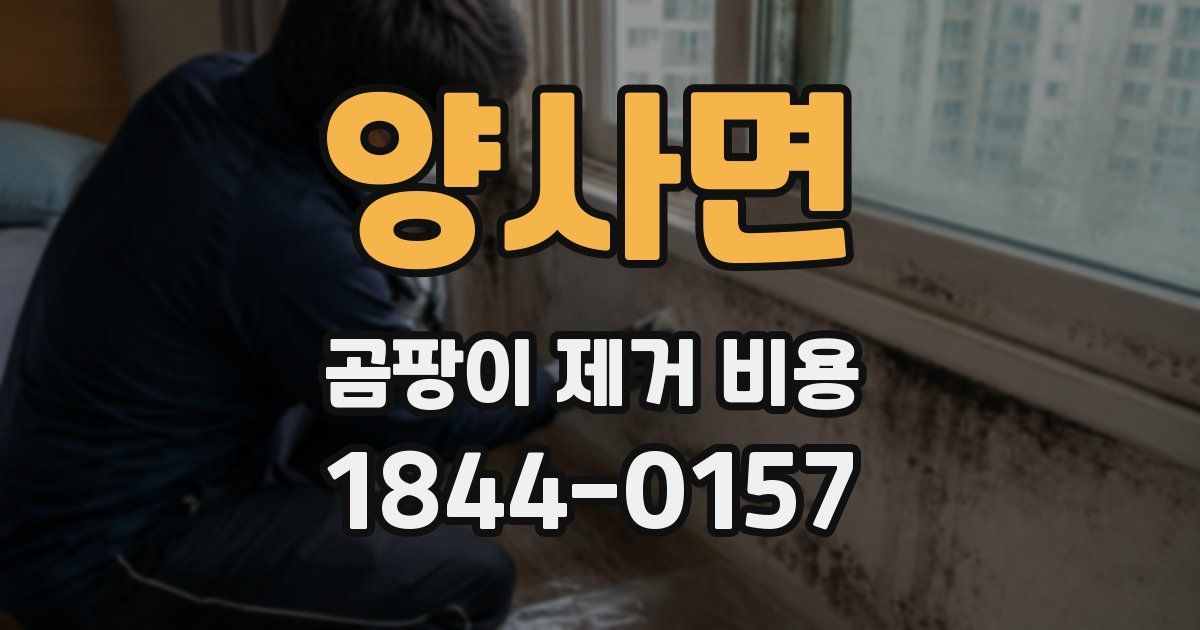 양사면 곰팡이 제거 비용