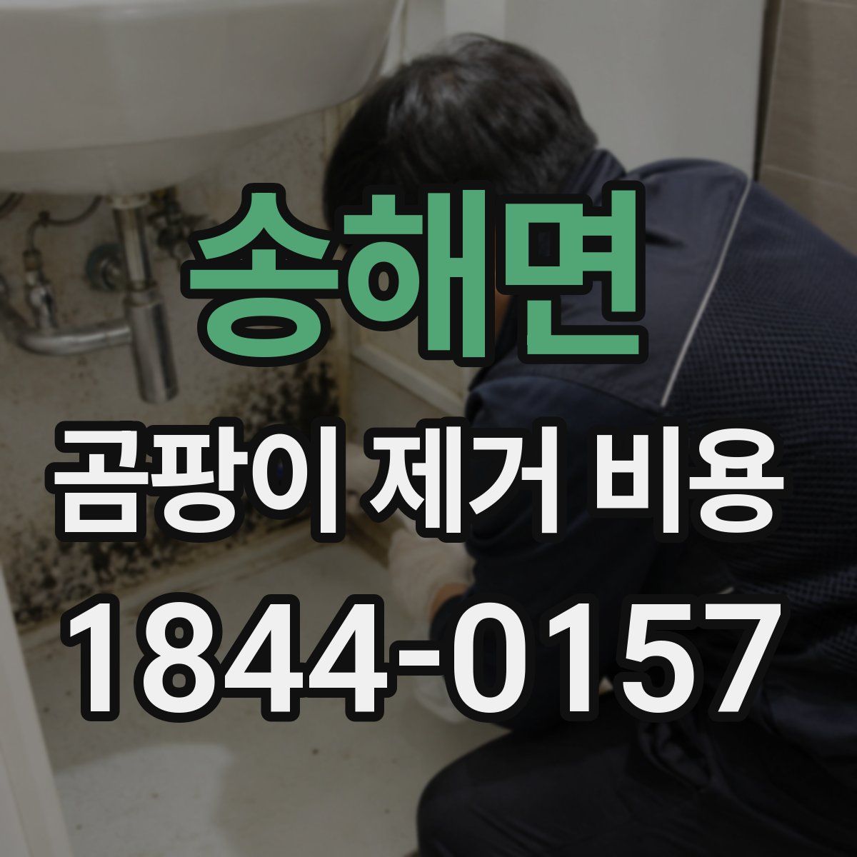 송해면 곰팡이 제거 비용