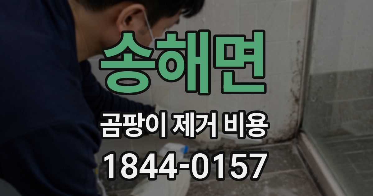송해면 곰팡이 제거 비용