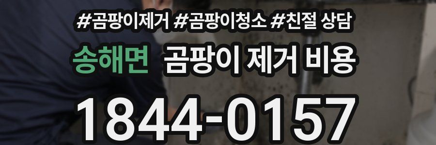 송해면 곰팡이 제거 비용