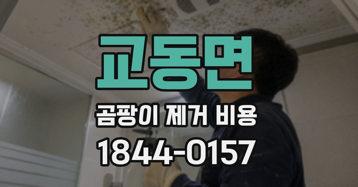 교동면 곰팡이 제거 비용