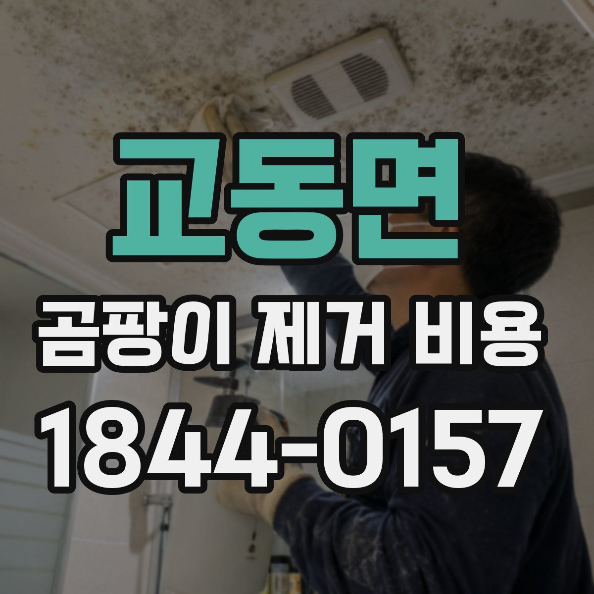 교동면 곰팡이 제거 비용
