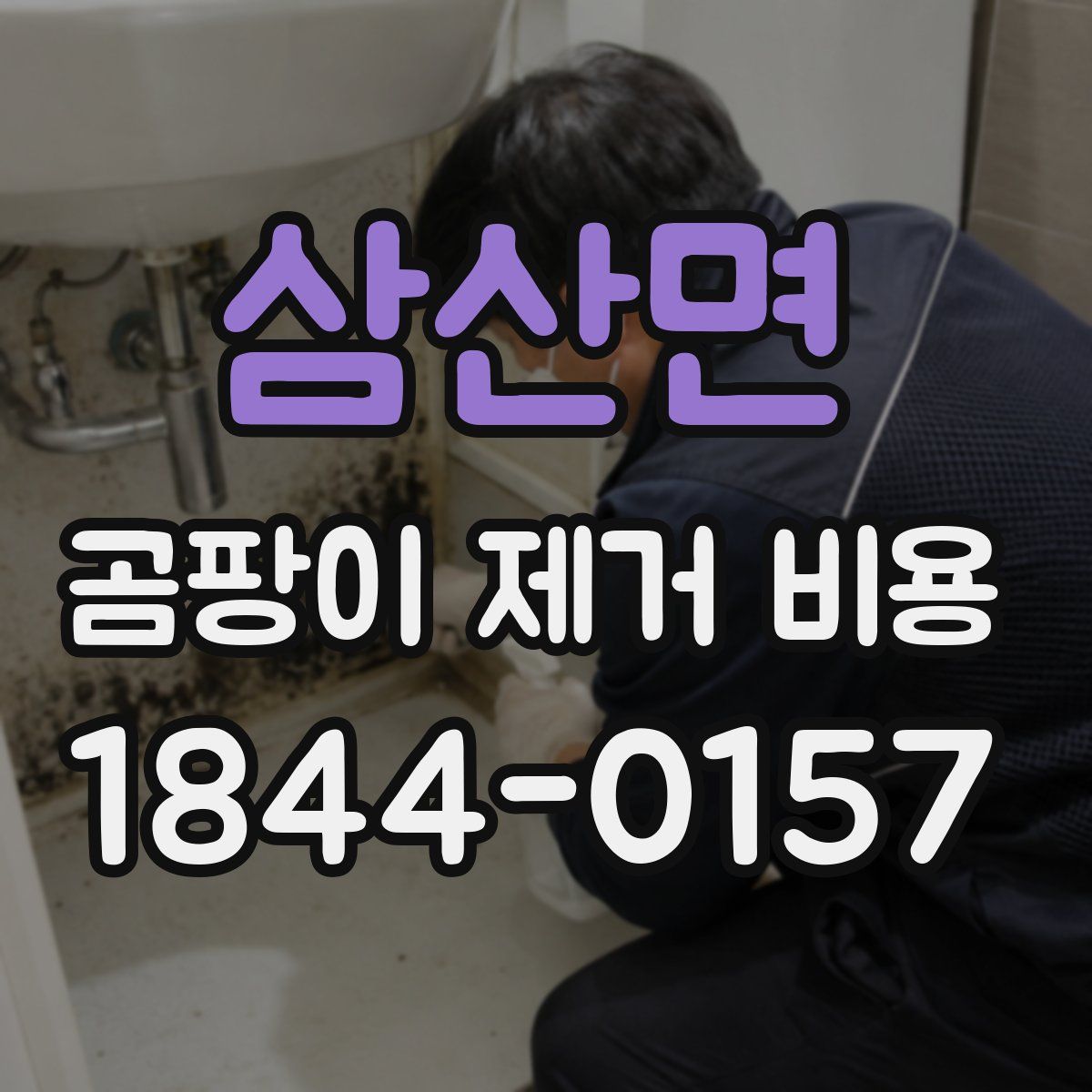 삼산면 곰팡이 제거 비용