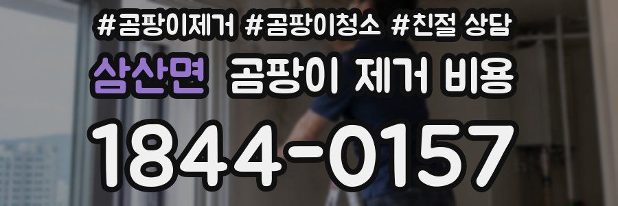 삼산면 곰팡이 제거 비용