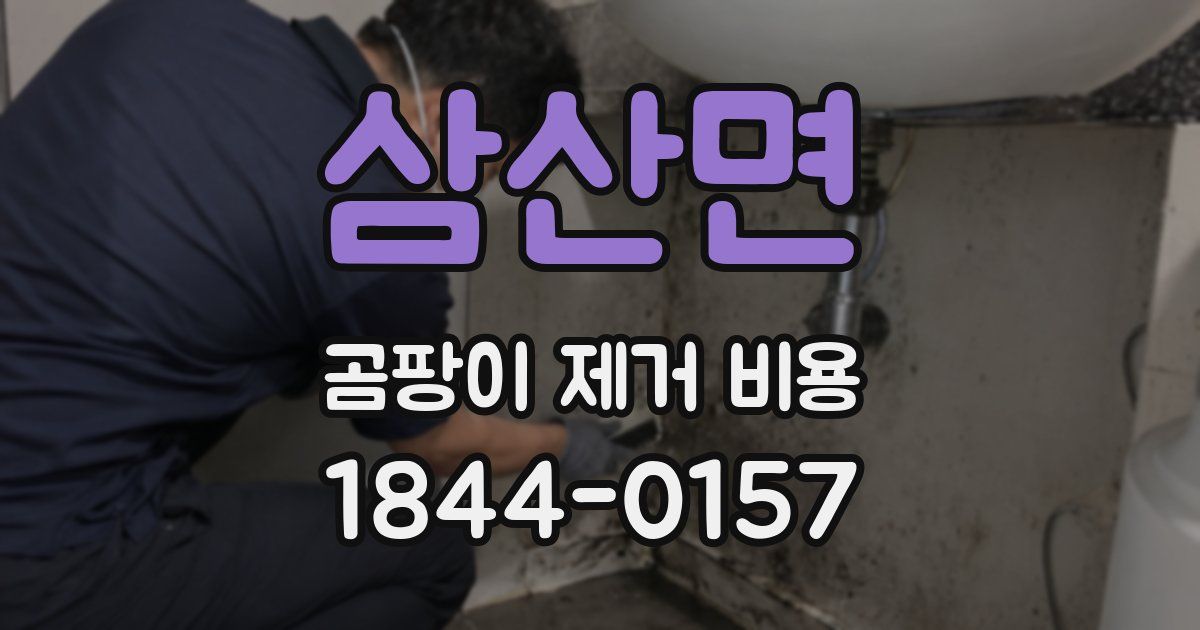 삼산면 곰팡이 제거 비용