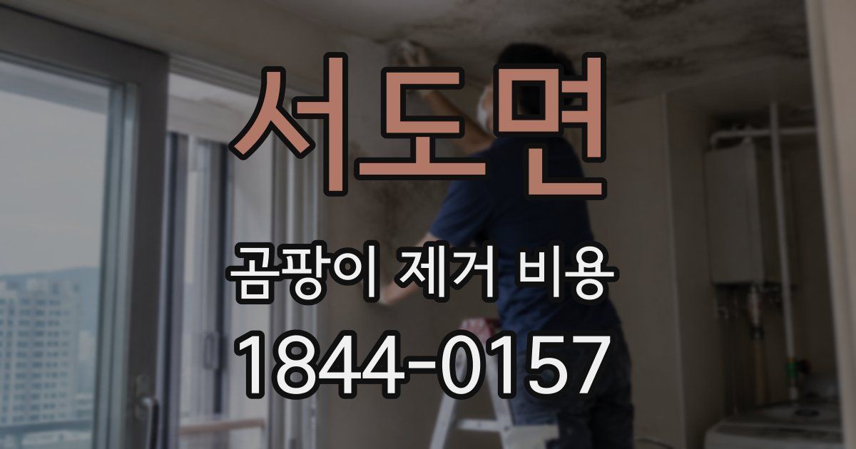 서도면 곰팡이 제거 비용