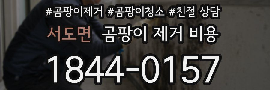 서도면 곰팡이 제거 비용