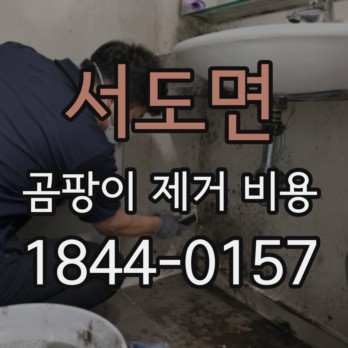 서도면 곰팡이 제거 비용