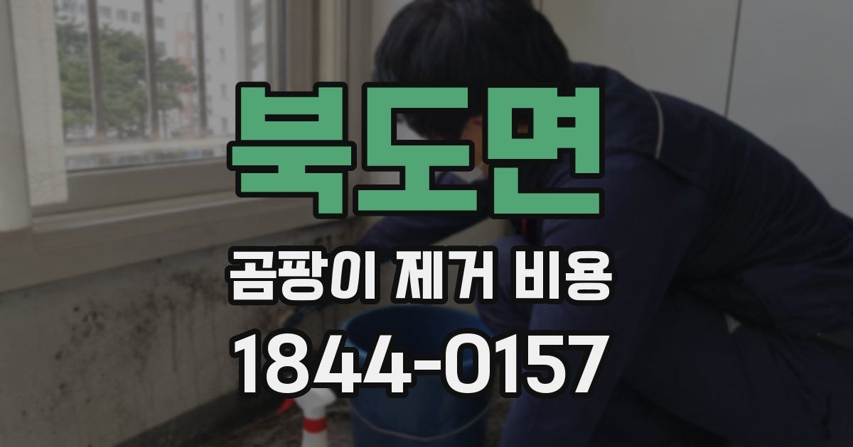 북도면 곰팡이 제거 비용