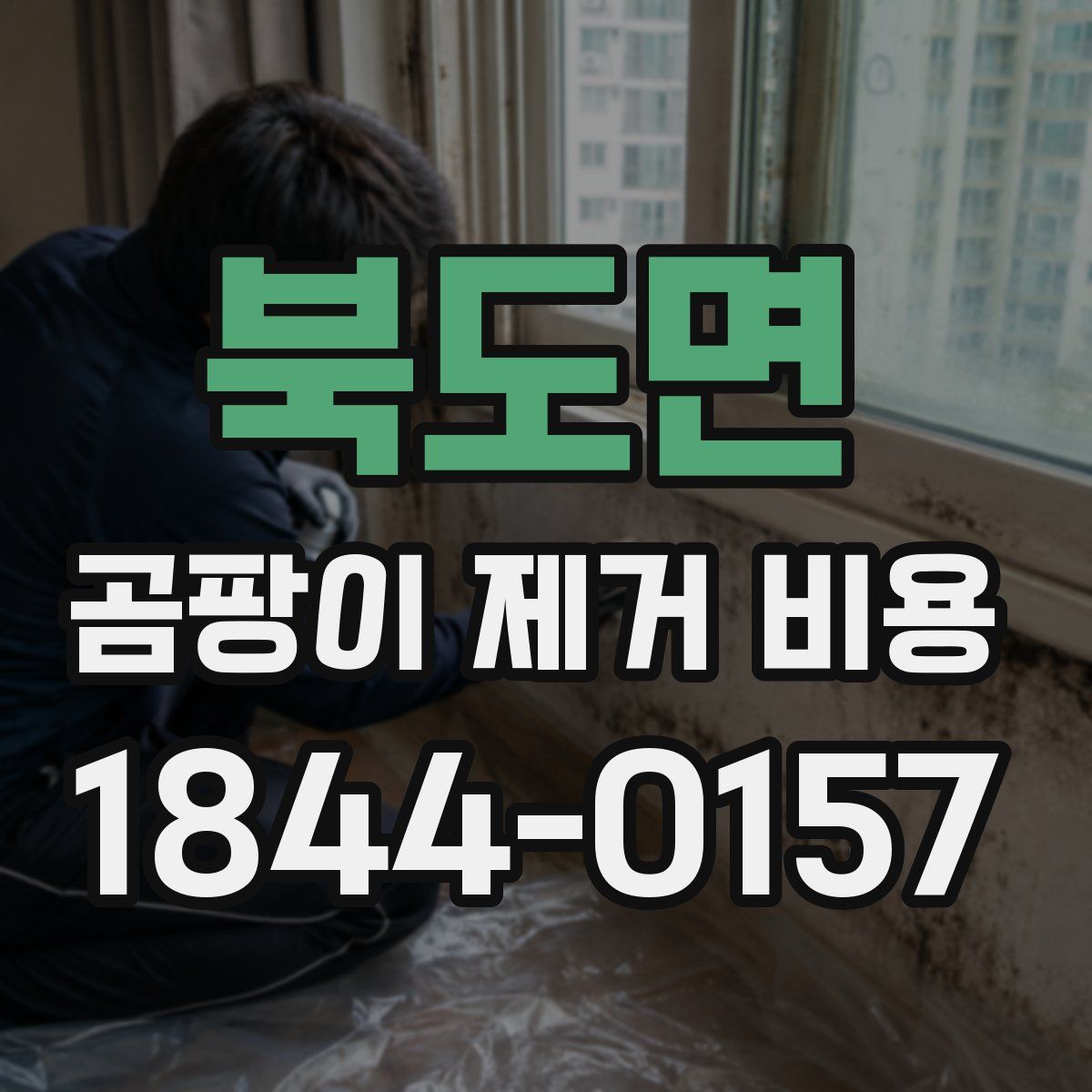북도면 곰팡이 제거 비용