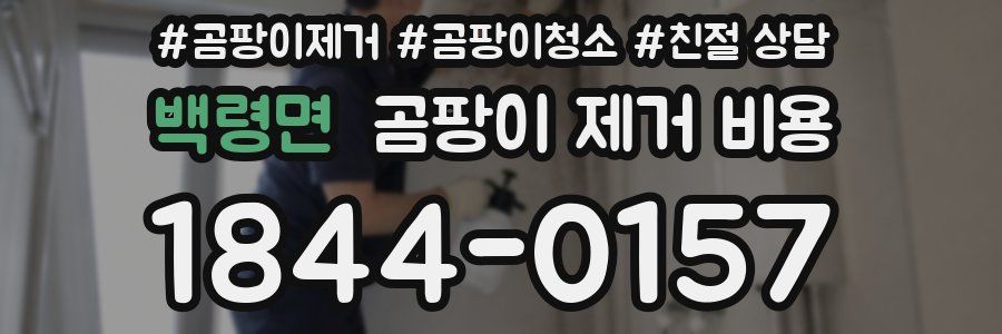 백령면 곰팡이 제거 비용