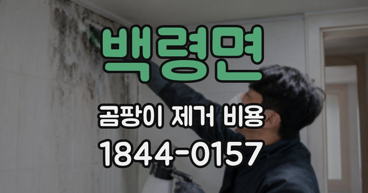 백령면 곰팡이 제거 비용