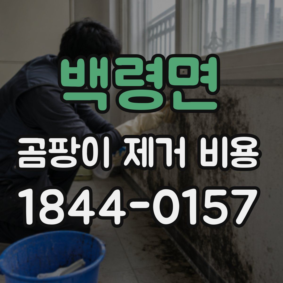 백령면 곰팡이 제거 비용