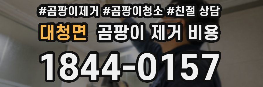 대청면 곰팡이 제거 비용