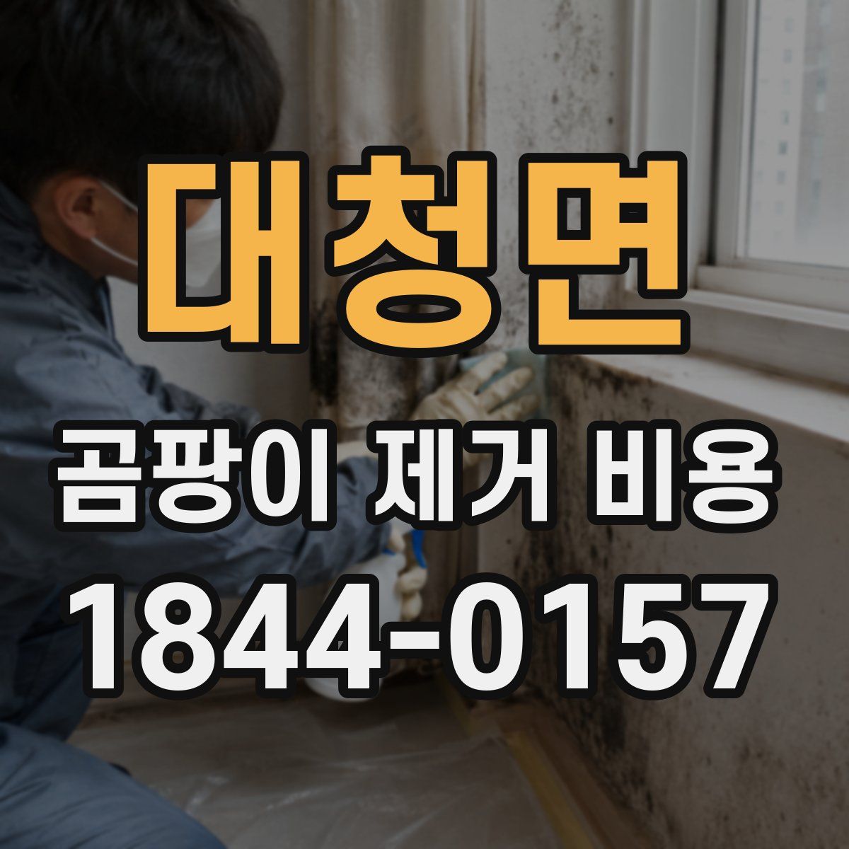 대청면 곰팡이 제거 비용
