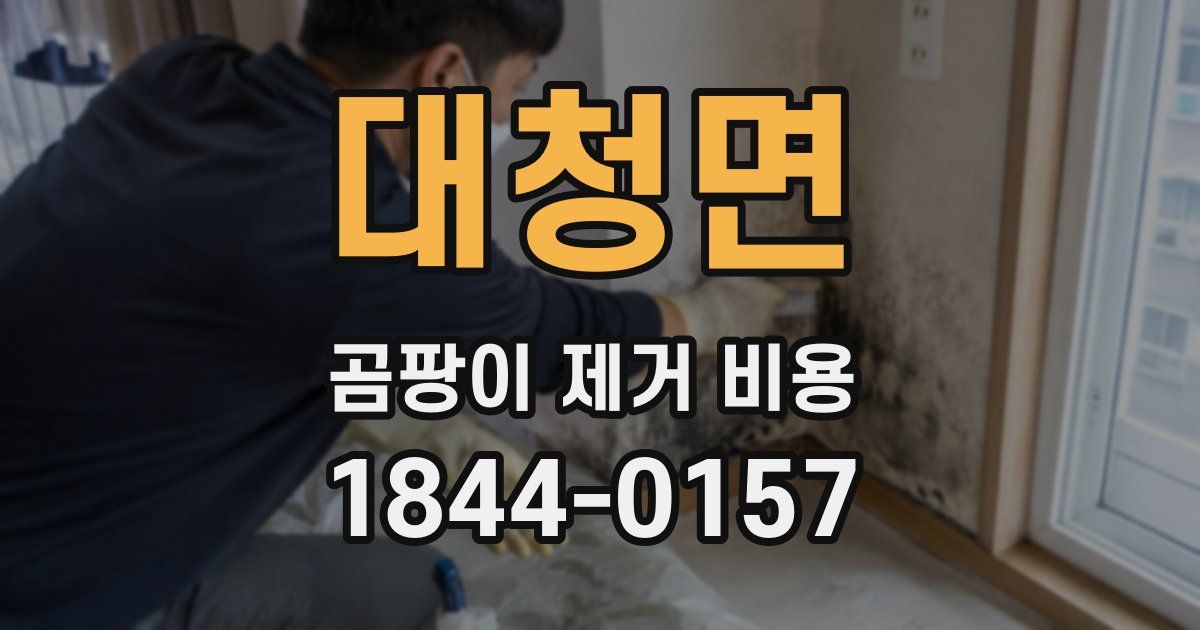 대청면 곰팡이 제거 비용