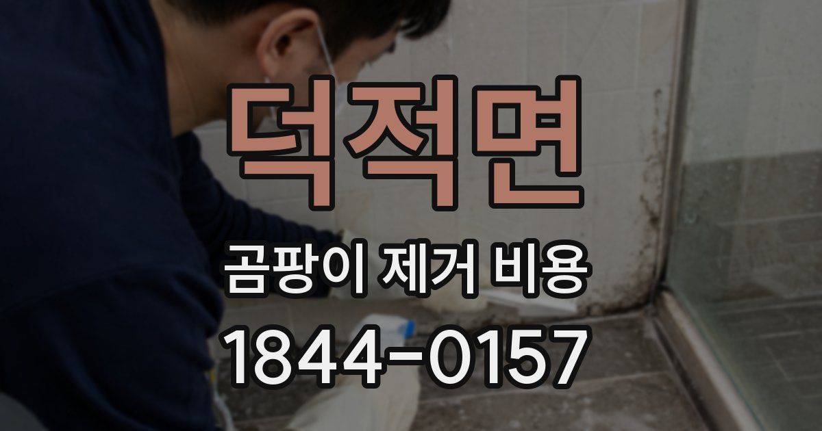 덕적면 곰팡이 제거 비용