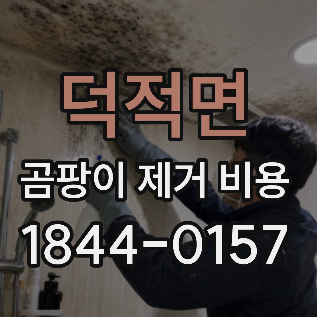 덕적면 곰팡이 제거 비용
