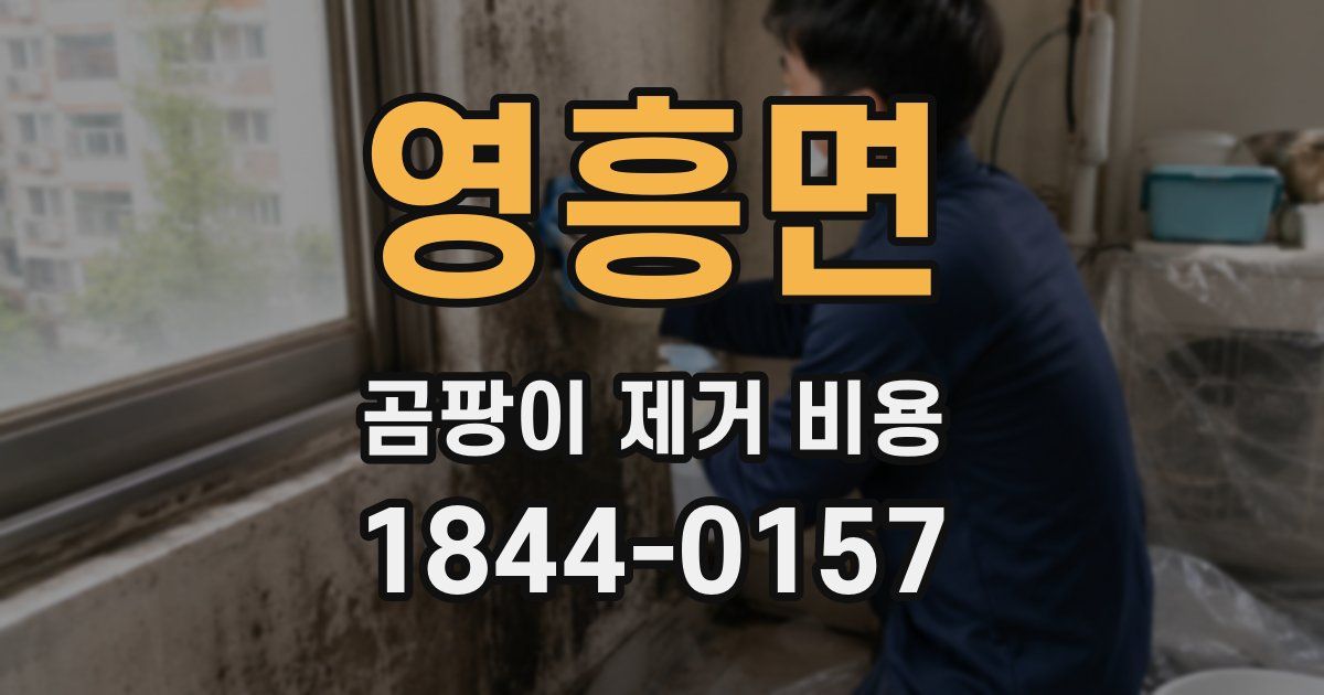 영흥면 곰팡이 제거 비용