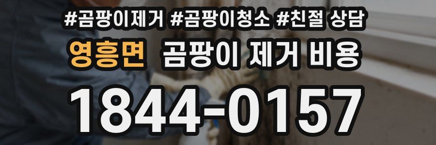 영흥면 곰팡이 제거 비용