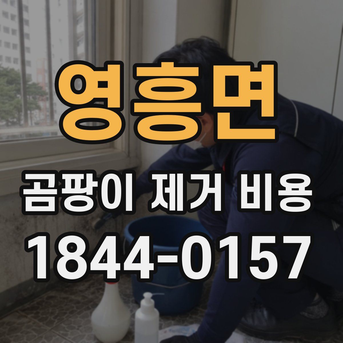 영흥면 곰팡이 제거 비용