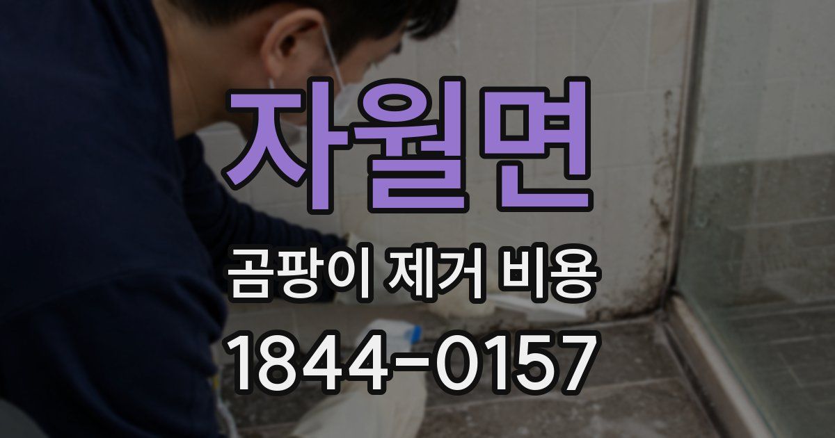 자월면 곰팡이 제거 비용
