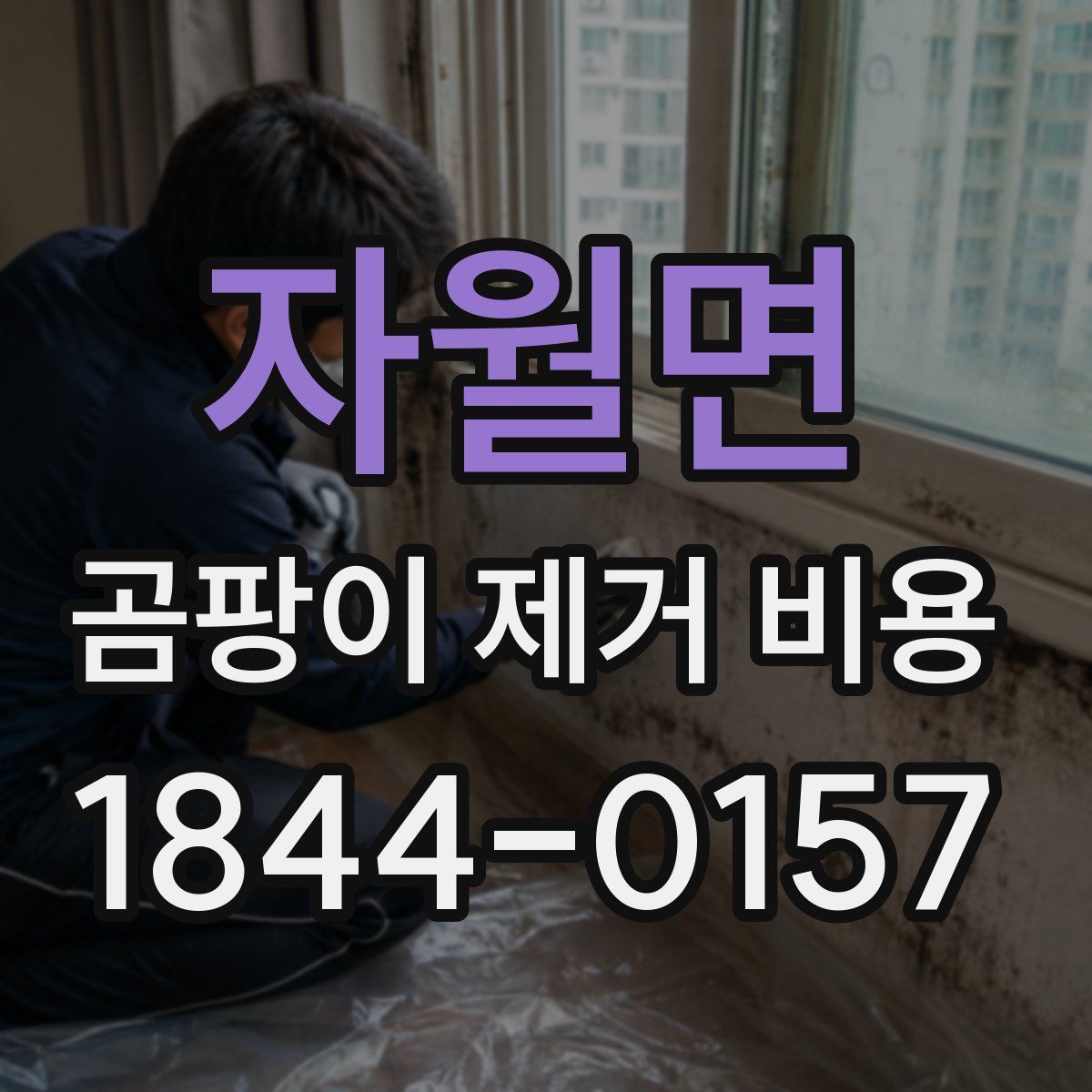 자월면 곰팡이 제거 비용