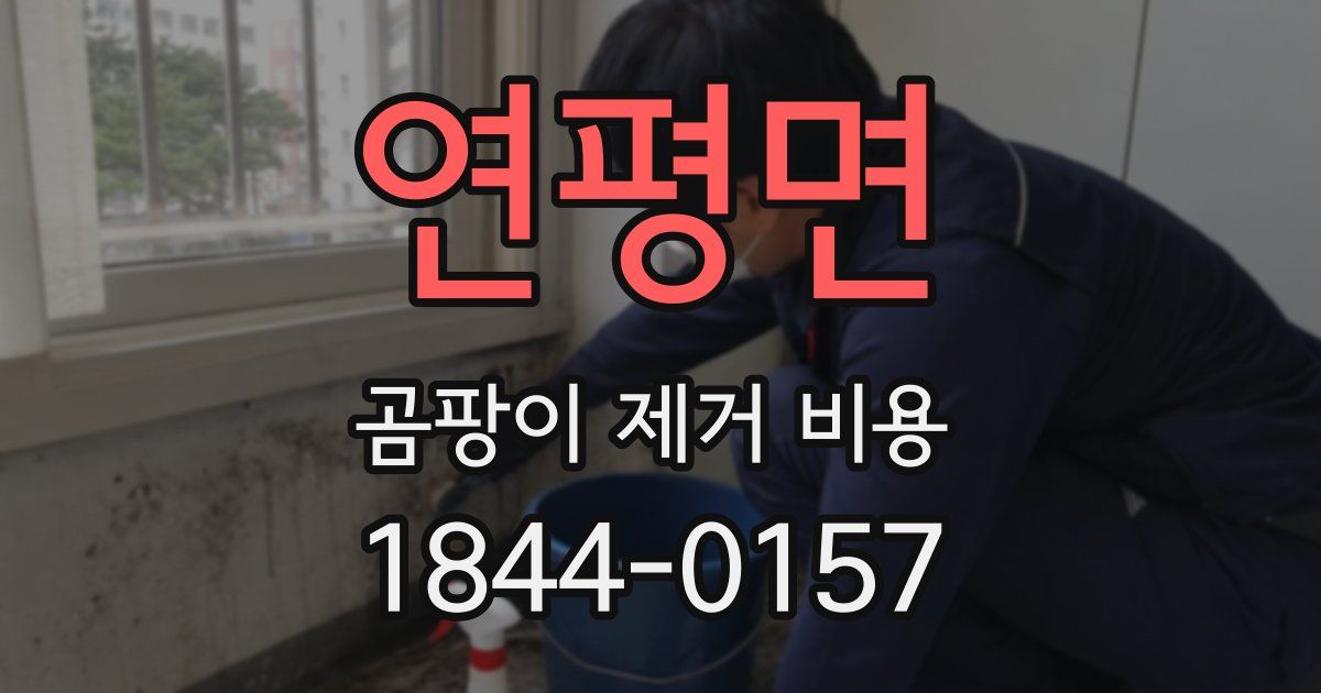 연평면 곰팡이 제거 비용