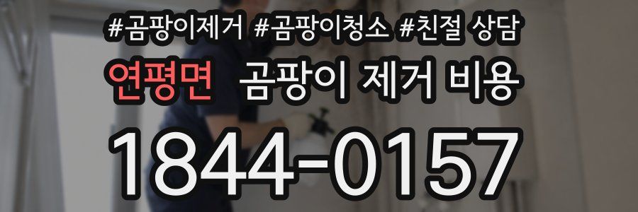 연평면 곰팡이 제거 비용