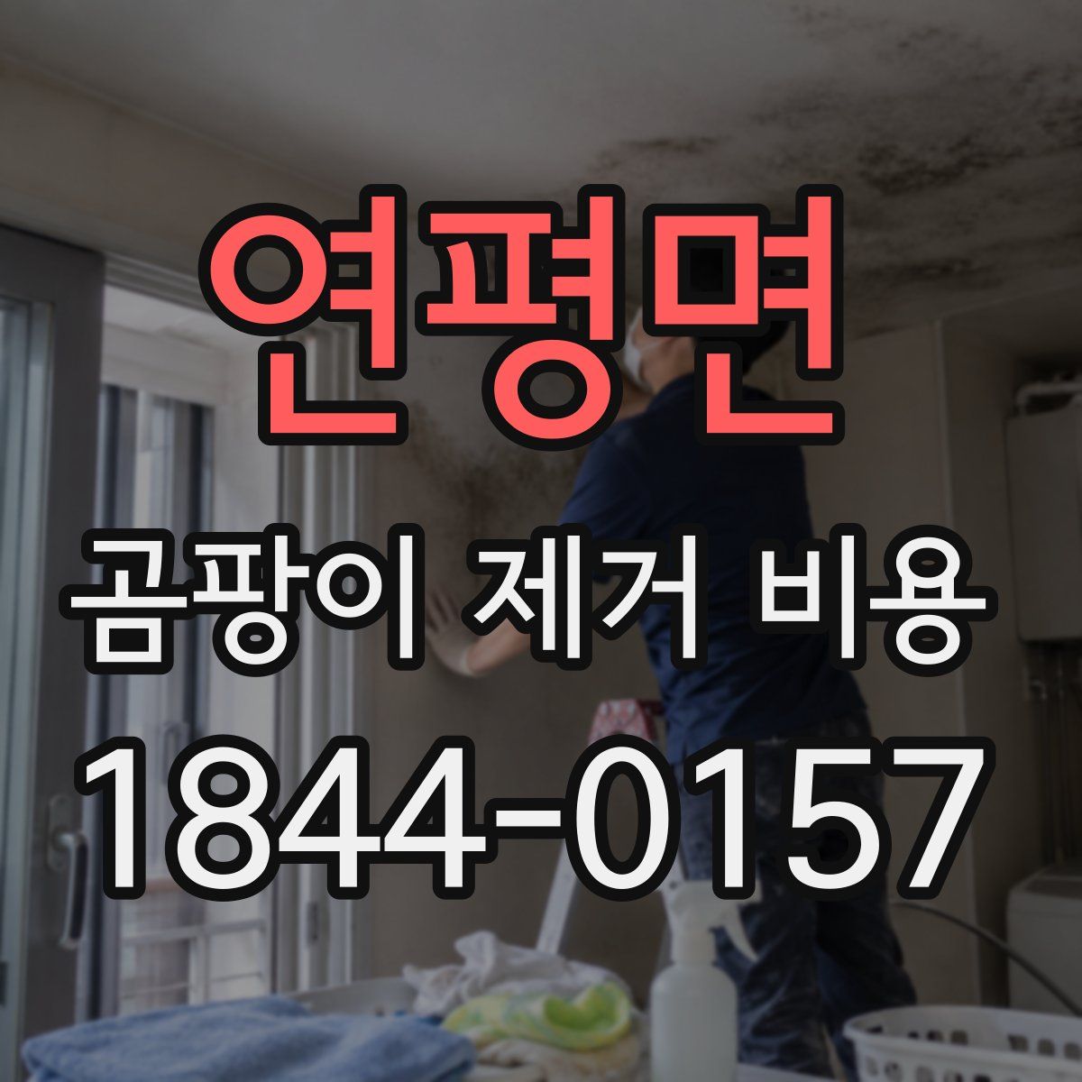 연평면 곰팡이 제거 비용