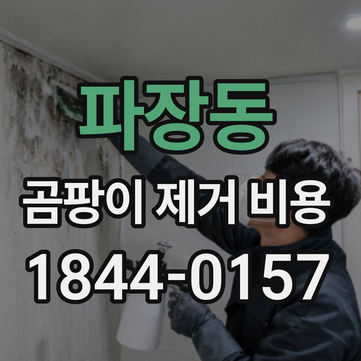 파장동 곰팡이 제거 비용