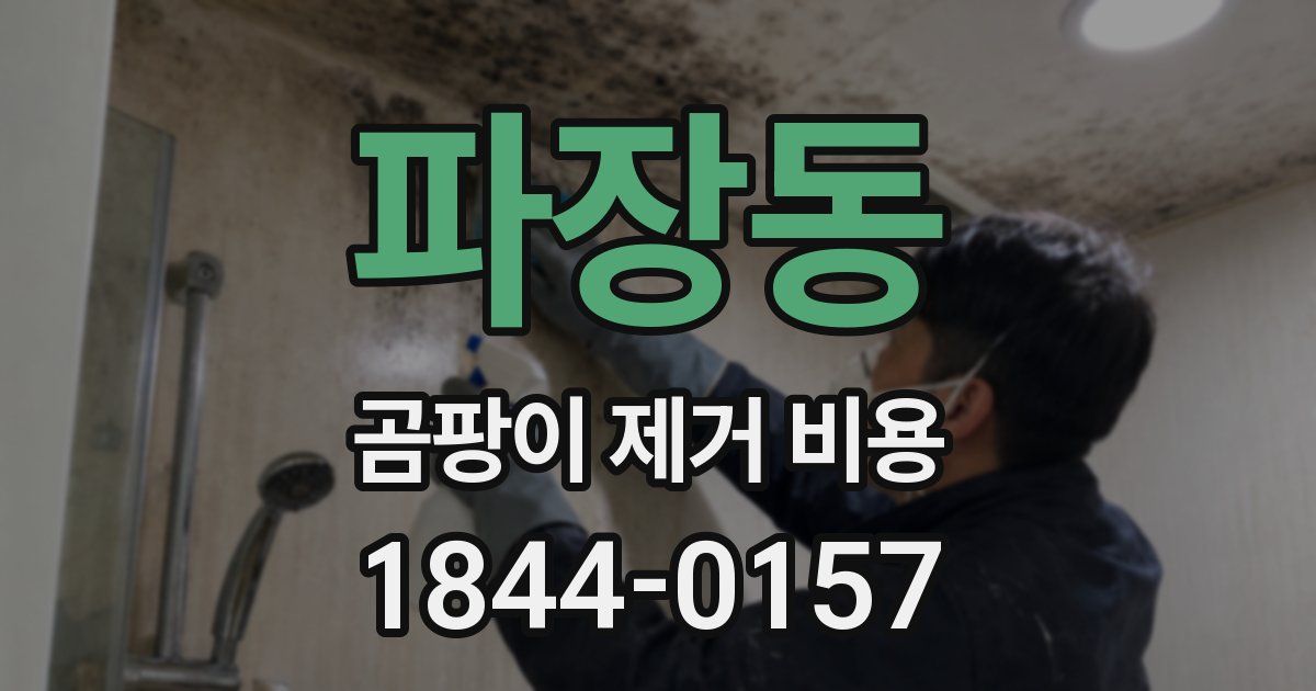 파장동 곰팡이 제거 비용