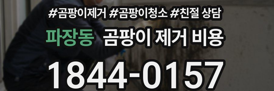 파장동 곰팡이 제거 비용