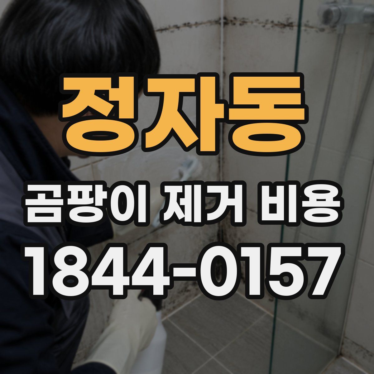 정자동 곰팡이 제거 비용