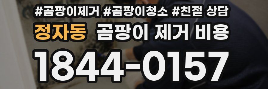 정자동 곰팡이 제거 비용