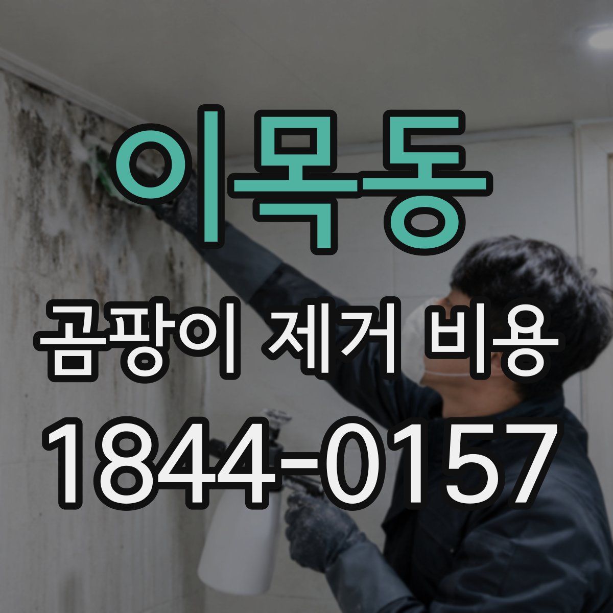 이목동 곰팡이 제거 비용