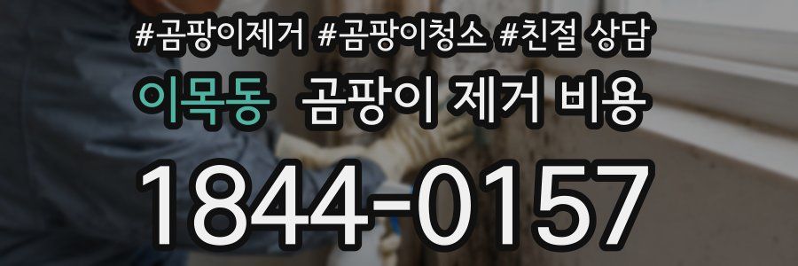 이목동 곰팡이 제거 비용