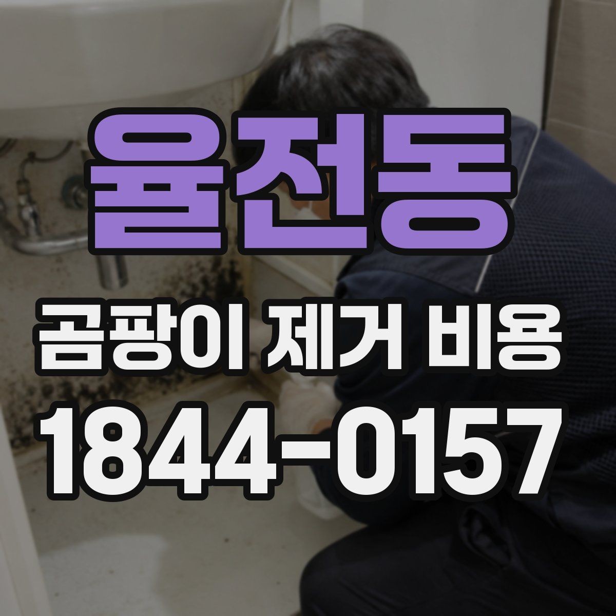 율전동 곰팡이 제거 비용 문의 전 점검해야 할 증상