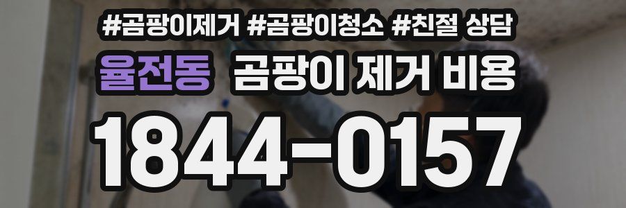 율전동 곰팡이 제거 비용